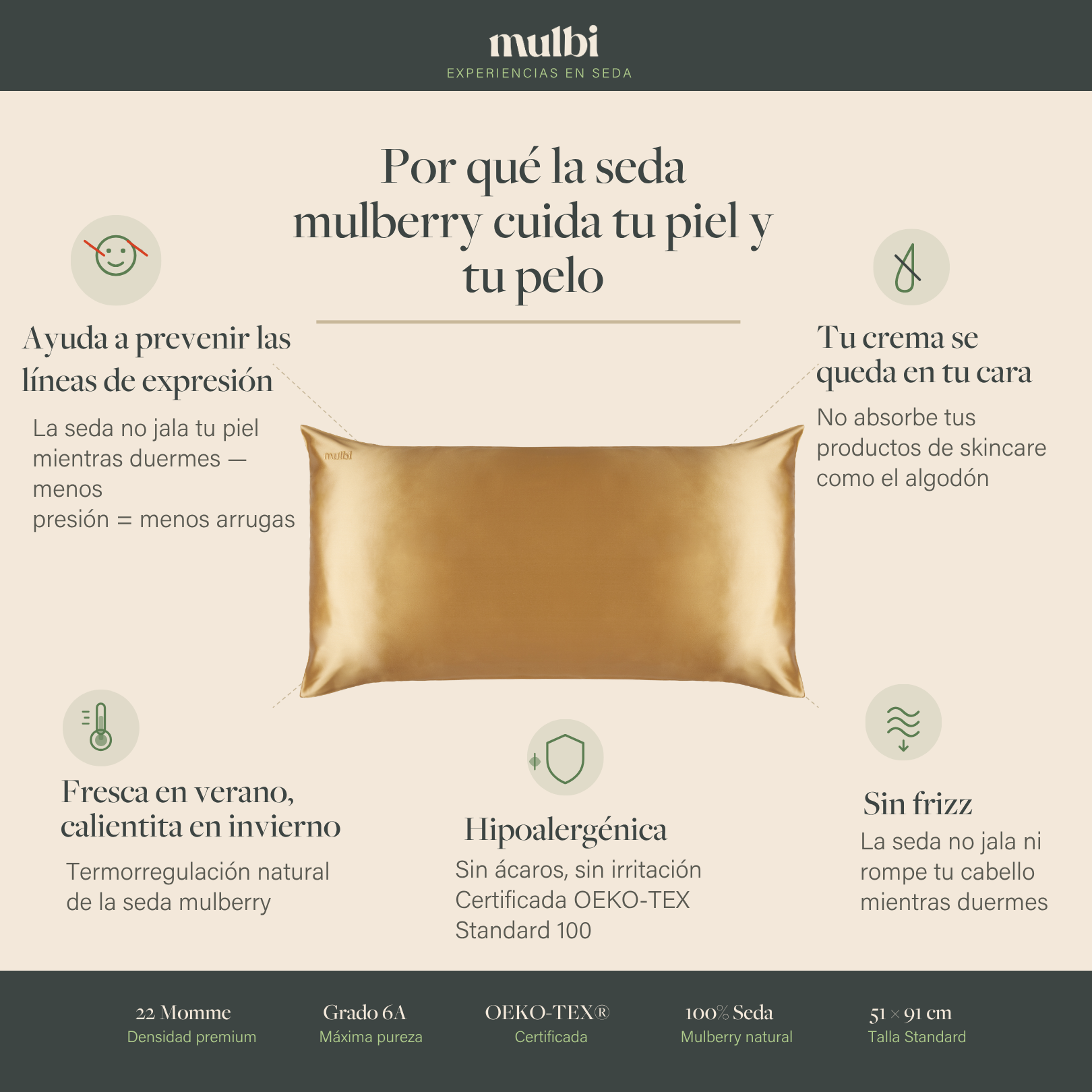 Funda de almohada King Size Gold