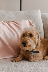 Gift Set 2 Fundas King Size Pink