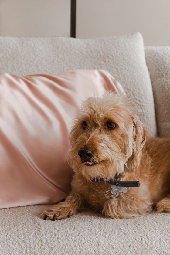 Gift Set 2 Fundas King Size Pink