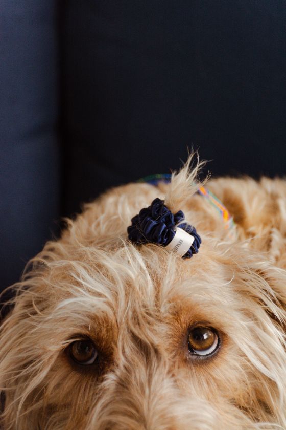 Scrunchie Small Navy Blue